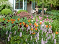 Hooglanderslang in de tuin