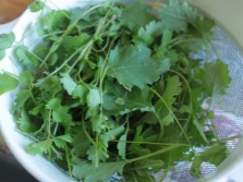 Burnet officinalis in de keuken