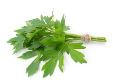 daun lovage