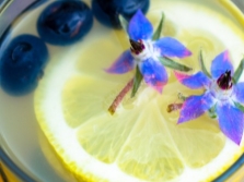 Borage limonade