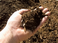 Compost voor het kweken van paddenstoelen