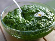 Pesto z czosnku niedźwiedziego