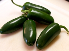 ớt jalapeno ớt