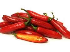 chili serranopeper