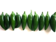 Jalapeno-variëteit espinalteco