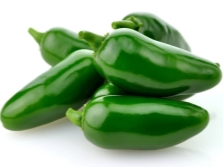 Morita jalapeno variëteit