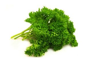 Chervil