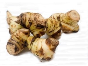 Galangal plant - anders Alpinia officinalis