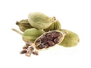 Cardamome