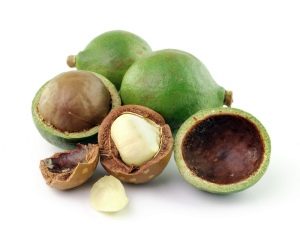 Australische noot - macadamia