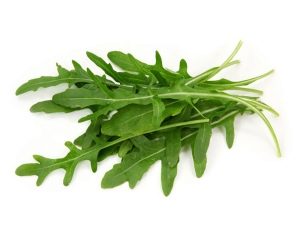 Rucola