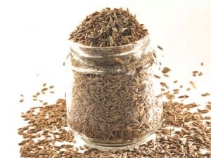 Cumin bình thường