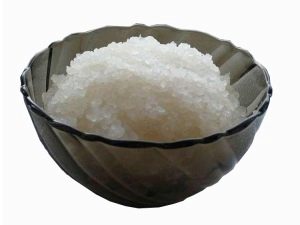 Gạo biển ấn độ