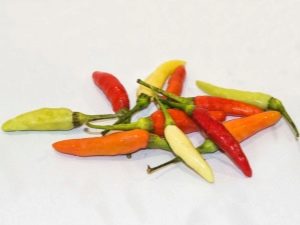 Tabasco paprika