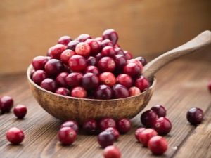 Cranberry: eigenschappen van de bes en gebruik bij verschillende ziekten