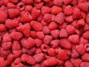 Raspberry Heritage: kenmerken en plantregels