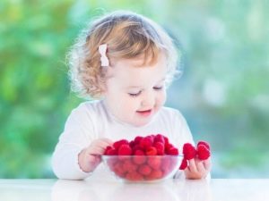 Raspberry Sokolica - een vruchtbaar zomerras