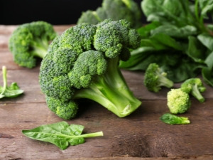 Broccoli: soorten, planten en verzorgen