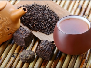 Té Puer: descripción y efecto, beneficios y daños.