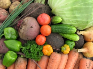 Wat volgend jaar na aardappelen planten?