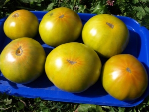 Kenmerken en plantvariëteiten van tomaten malachiet doos