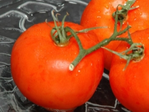 How to grow honey tomato?