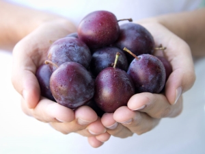 Pruimencalorieën: voedingswaarde van vers en bevroren fruit