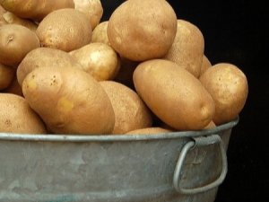 Potato Elizabeth: rasbeschrijving en teeltkenmerken 