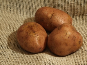 Potato Elmundo: variety description and cultivation