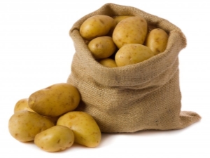 Labadia potatoes: characteristics, planting and care