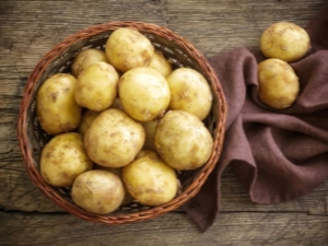 Potato Sante: kenmerken en subtiliteiten van de teelt 