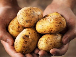 Yanka-aardappelen: beschrijving en teelt