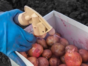 Aardappelen verwerken voor het planten