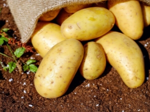 Beschrijving en proces van het telen van aardappelen Breeze 