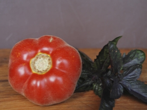 Features of Peach tomatoes: from pluses to cultivation