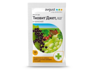 Reglas para el uso de la droga Thiovit Jet para uvas.