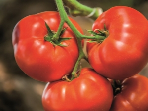 Tomato Big Beef F1: variety characteristics and cultivation techniques