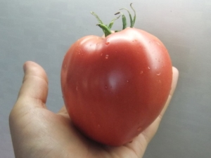 Tomato Miracle of the Earth: voordelen, nadelen en kenmerken