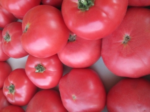 Tomato Pink cheeks: characteristics and description of the variety