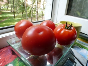 Tomaten van de Nepas-serie: kenmerken en variëteiten