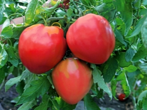 Cow's Heart Tomatoes: variëteitskenmerken en opbrengsten