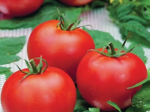 Wat zijn de kenmerken van het tomatenras Polfast F1 en hoe te telen?