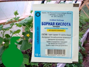 Boric acid for cucumbers and tomatoes: preparation, dosage and timing of application