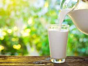 Wat is het verschil tussen gepasteuriseerde melk en gesteriliseerde melk?