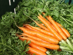 ¿Cuántos días tardan en brotar las zanahorias?