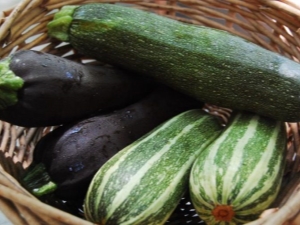 Wat is courgette, hoe verschillen ze van courgette? Eigenschappen en teelt