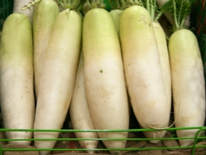 Daikon: korzyści i szkody, cechy użytkowania 