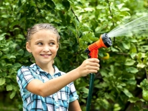 Hoe appelbomen water geven in de zomer?