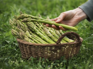 Hoe asperges telen?