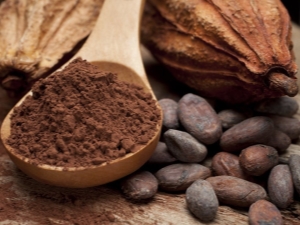 Cacaopoeder: tips voor kiezen en bereiden 